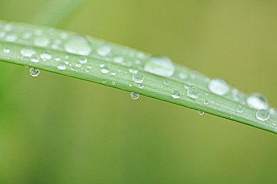 NEOWIZ旗下8款游戏参加”独立游戏节”，《闪避刺客》将开启7折优惠！